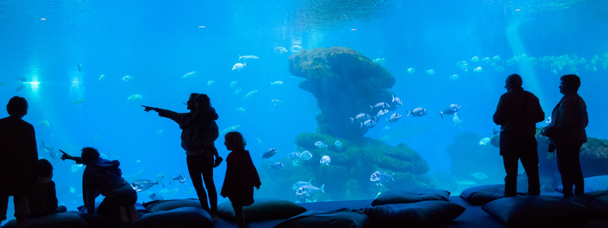 Best Western Hotel Erfurt-Apfelstädt - Aquarium Schmuckbild