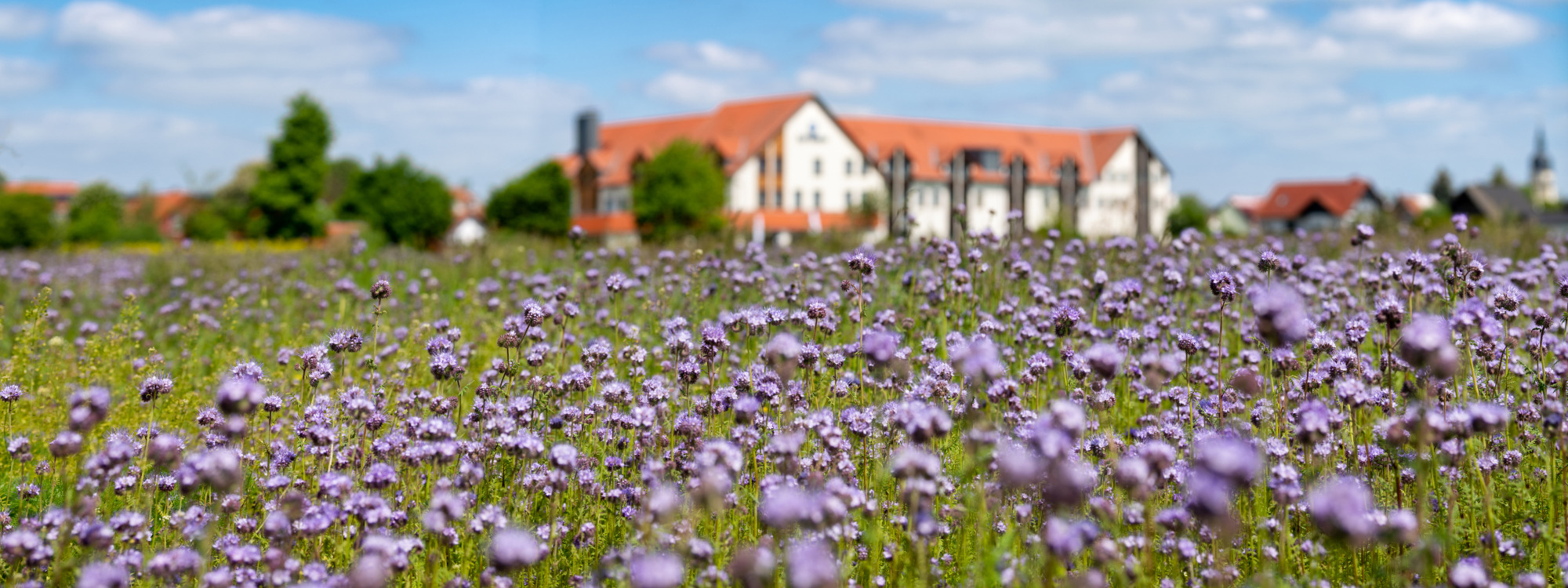 Best Western Hotel Erfurt-Apfelstädt - Hotelbild von Außen im Sommer