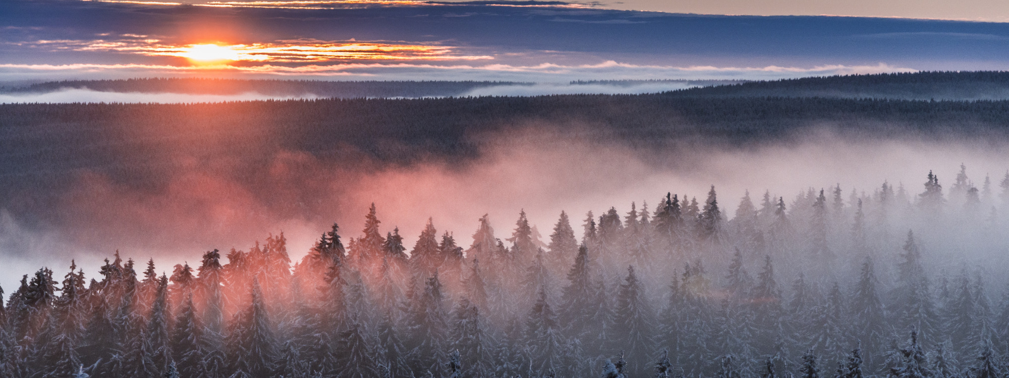 Best Western Hotel Erfurt-Apfelstädt - Morgensonne mit Nebel