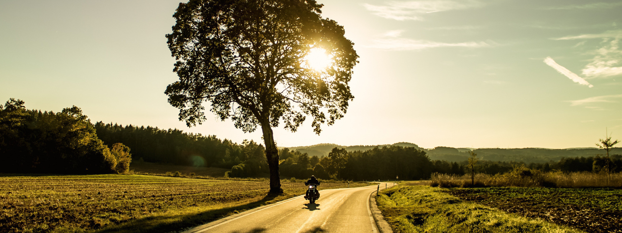 Best Western Hotel Erfurt-Apfelstädt - Schmuckbild