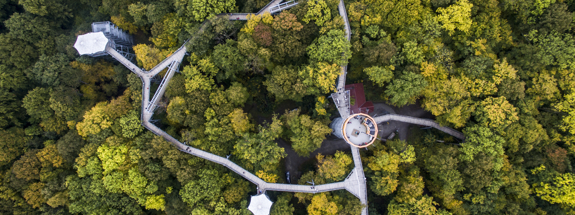 Best Western Hotel Erfurt-Apfelstädt - Waldpfad aus der Luft fotografiert